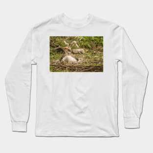 91916 goose goose Long Sleeve T-Shirt